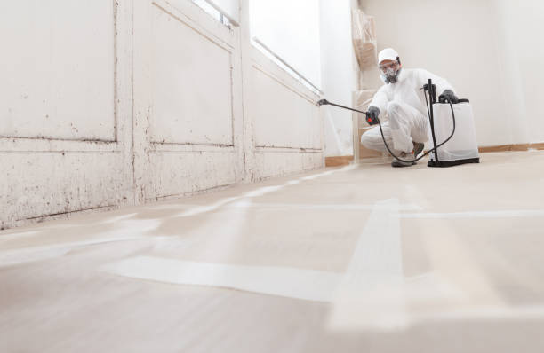 24/7 Emergency Attic Mold Remediation experts in Hagerstown, MD