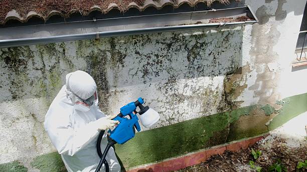 Top rated local Attic Mold Remediation specialists in Hagerstown, MD